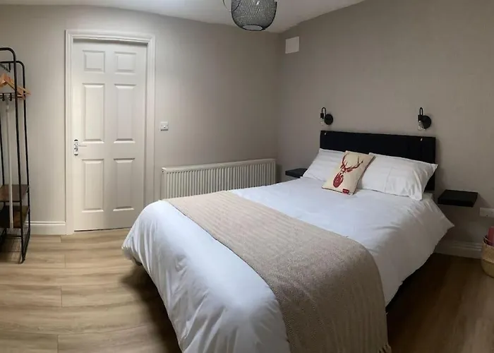 公寓 Castletroy Limerick Junction